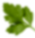 h5_decor-4